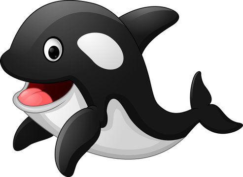 Cute killer whale cartoon