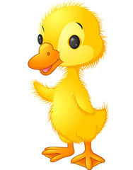 Cute duck cartoon waving
