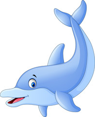 Cute dolphin cartoon