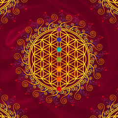 Flower of life, sacred geometry, chakras