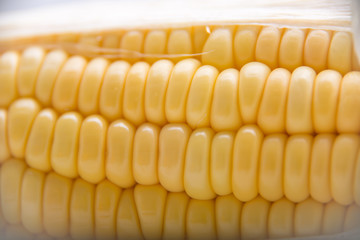 Fresh corn on cobs, closeup