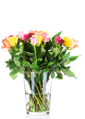 Bouquet of roses in the vase on white background