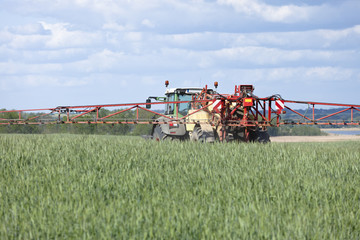 Traktor beim srühen von Pflanzenschutzmittel  im Getreidefeld