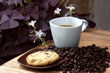 Coffee and cookie on a wood background.