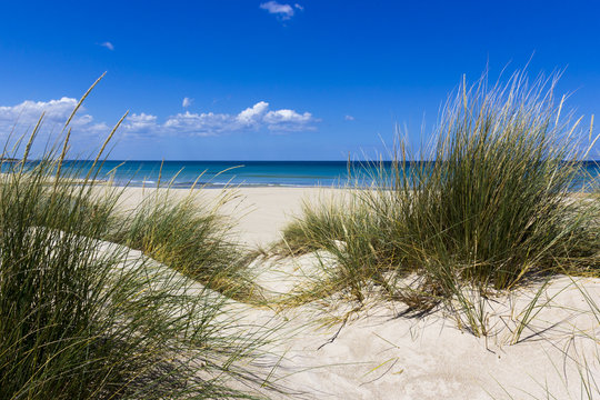 Salento, Sand Dunes