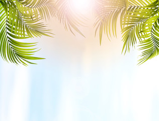 Obraz na płótnie Canvas Green leaf of palm tree background