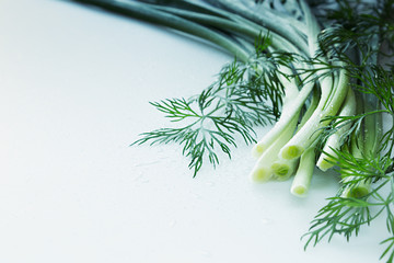 Fresh green onions and dill on a white background.  Frame with the copy space. Studio, close-up