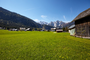 Fototapeta na wymiar Idyllic landscape in the Alps with fresh green meadows and bloom