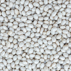Closeup white beans, Navy beans texture background