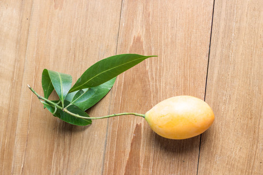 thai plango with leaf on wood background