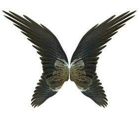 Naklejka premium Wings isolated on white