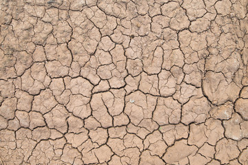 mud cracked