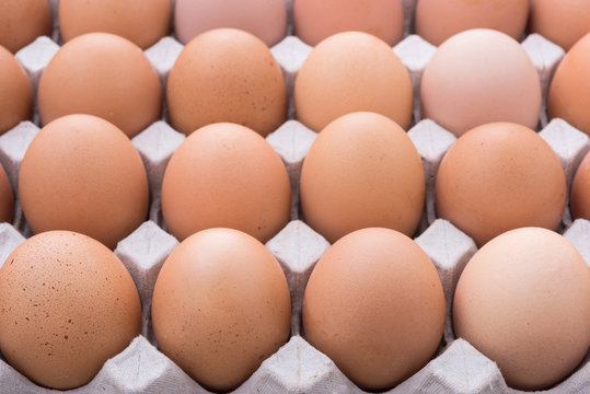 close up an eggs