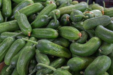 Fresh green cucumber gherkin  for sale at city market. Baku. 