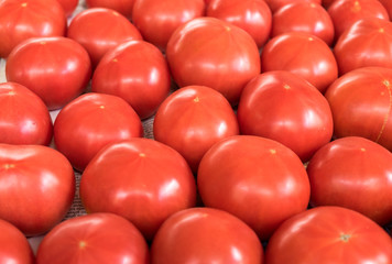 Organics tomatoes at farmers market