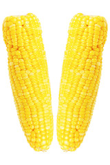 Two steamed corns isolated on white