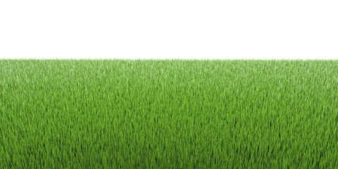 3d grass