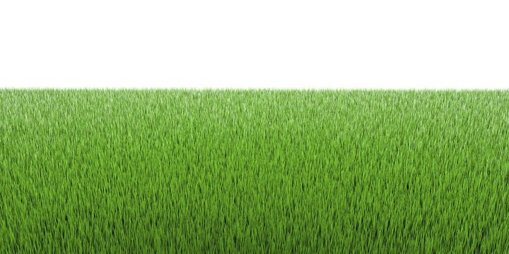 3d grass