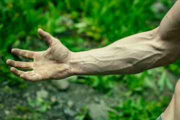 Muscular hand with veins