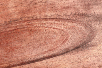 Obraz premium Grain wooden texture for pattern