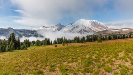 Obraz premium Amazing view at the snowy peaks which rose against the blue of a cloudless sky. Summer landscape in mountains. MOUNT FREMONT LOOKOUT TRAIL, Sunrise Area, Mount Rainier
