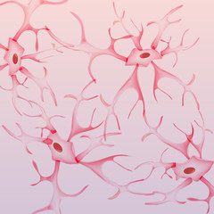 Obraz na płótnie Canvas Neuron, nerve cell - Vector Illustration