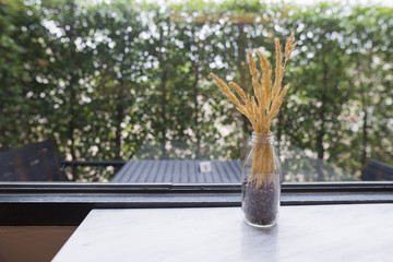 dried flower in jug near window