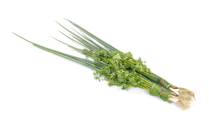 Fresh coriander and Spring onion on white background.