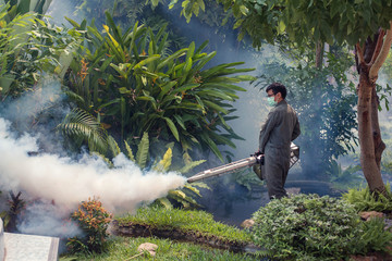 Soft focus fogging to eliminate mosquito for prevent spread dengue fever