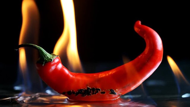 hot pepper in fire arms   /   hot pepper in flames on a black background