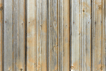 Old painted wood wall - texture or background