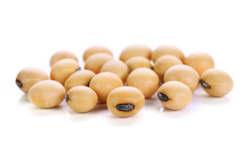 soy beans on white background.