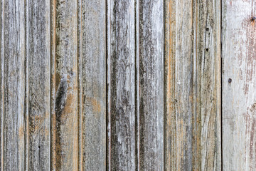 Obraz premium The old wood texture with natural patterns