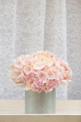 Bouquet of Hydrangea flower