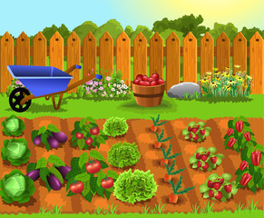 fruits and vegetables garden