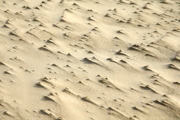 background of sand/small sand dunes formed by the wind