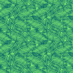 Palm leaves illustration. Tropical jungle plant.