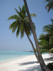 weißer Traumstrand auf den Malediven