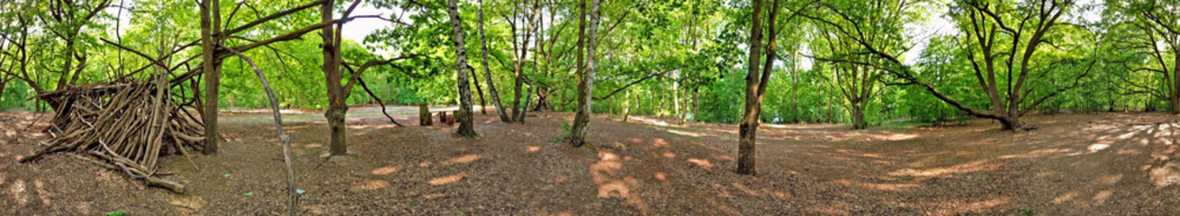 Wald Panorama mit Holzhütte
