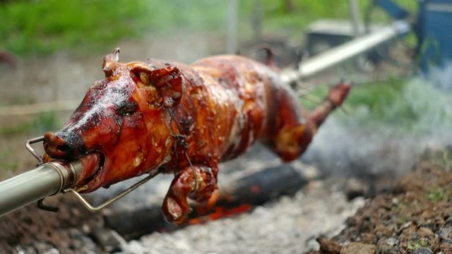 SUPER 35MM CAMERA - Roasting of a pig on a spit
