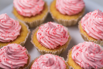 Vanilla cupcakes with pink cream, selective focus, close up