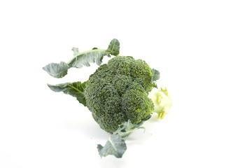 Fresh Broccoli isolated.on white background.Vegetable.center