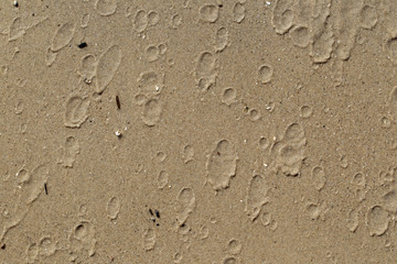 close-up of sand.