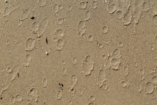 close-up of sand.