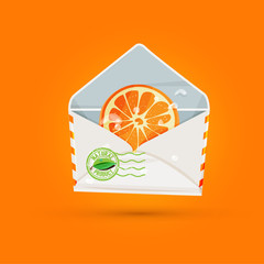slice of orange in mail envelope. send from nature concept - vec