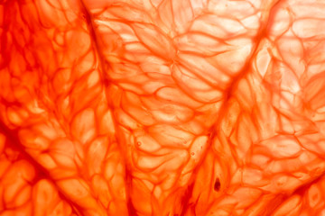 Grapefruit. Close-up macro. So fresh.