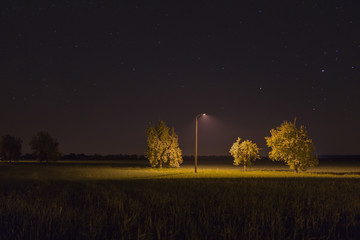 street light by night