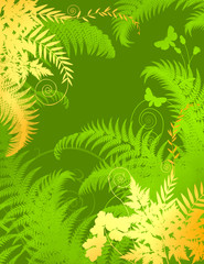 Fototapeta na wymiar The background image entwined fern and other plant