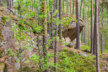 Cliffs in the ancient forest