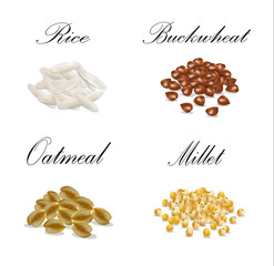 Millet, buckwheat, oatmeal, millet set illustration vector